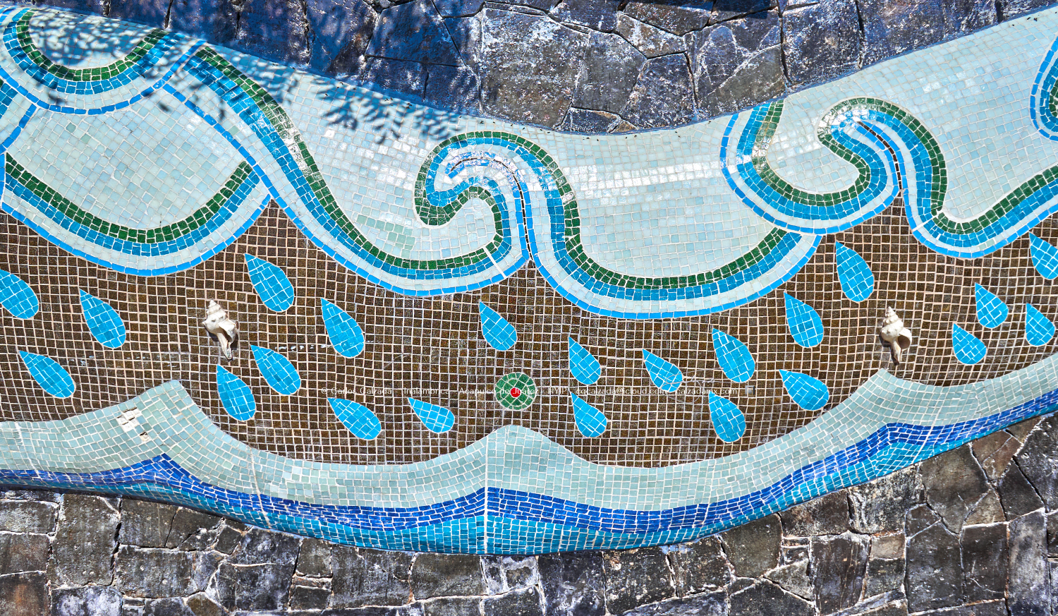 Diego Rivera - DSC02797 - ene 15 2025.png